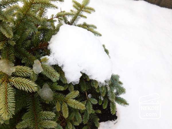 無印良品*11月の雪活と、縁起のいい感謝祭。