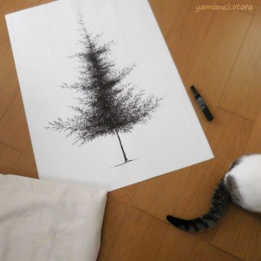 猫と暮らす家のクリスマスツリー2018