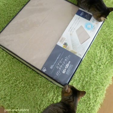 猫の介抱用寝具に、エアリーマットレス。