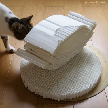 冬じまい、猫用ベッドを捨てる。