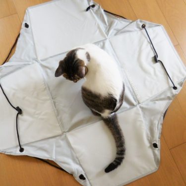 ネコに、開く洗濯かご。