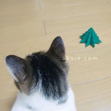 猫と暮らす家のクリスマスツリー2024