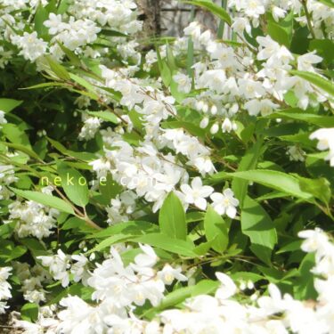 夏に向けて、郵便受けも虫対策。