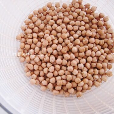 2025*ひよこ豆味噌、失敗。
