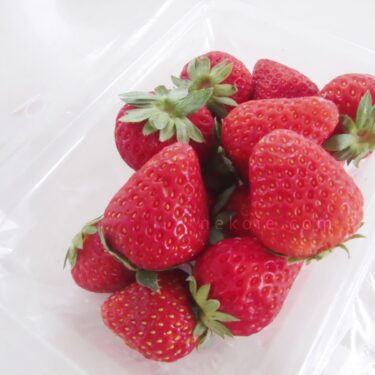 ひとまず冷茶代わりの、竹炭。